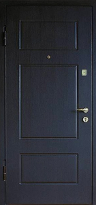 Дверь Порошок №97 - фото №2