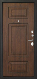 Дверь Порошок №21 - фото №2