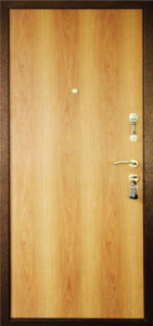 Дверь Порошок №15 - фото №2