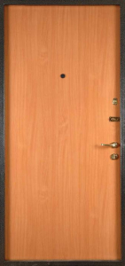 Дверь Ламинат №2 - фото №2