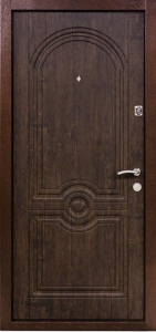 Дверь Порошок №49 - фото №2