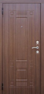 Дверь Порошок №9 - фото №2