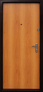 Дверь Порошок №65 - фото №2