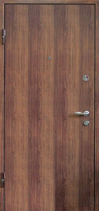 Дверь Ламинат №34 - фото №2